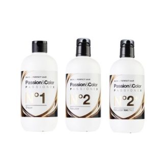 PLEX PASSIONEX Rekonstrukcja włosów KIT (nr1+nr2+nr2+) 3x500ml